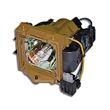 Type de base : Lampe de projecteur de remplacement avec boîtier