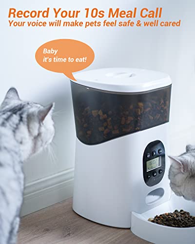 5L Distributore Automatico di Ciboper Gatti e