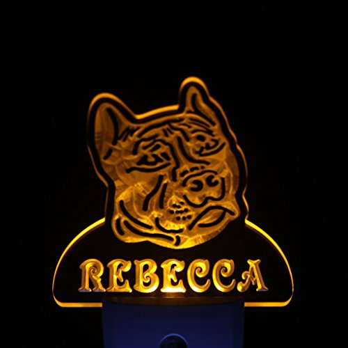 Lámpara de noche LED con sensor día/noche personalizable miniatura 4