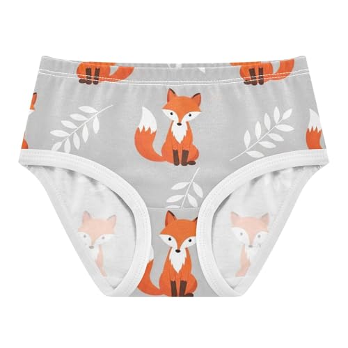 Cute Orange Foxes Gray Toddler Underwear Floral 2t Cotton Panties for Girl Funny Briefs Girls Undies