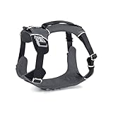 Pawprints ON My Soul Canadian Dog Harness, Stylish & Premium, no Choke no Pull Feature, Breathable Mesh Fabric, Adjustable, Reflective Lining, 2 Leash Metal Clips, Escape Proof, Lift Handle, Medium