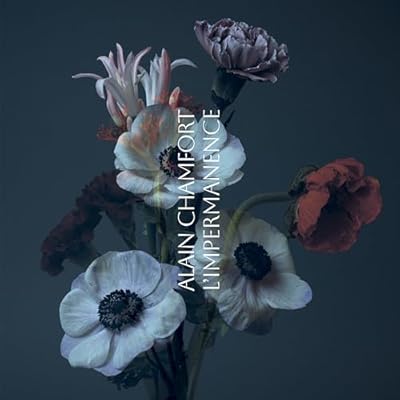 L&rsquo;impermanence