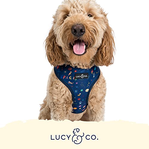 Cute Reversible Dog Harness Walking Halter - Best Designer Pet Harnesses for Medium Dogs - Padded Adjustable Vest for Easy Walking (X-Small, Space Doodle)