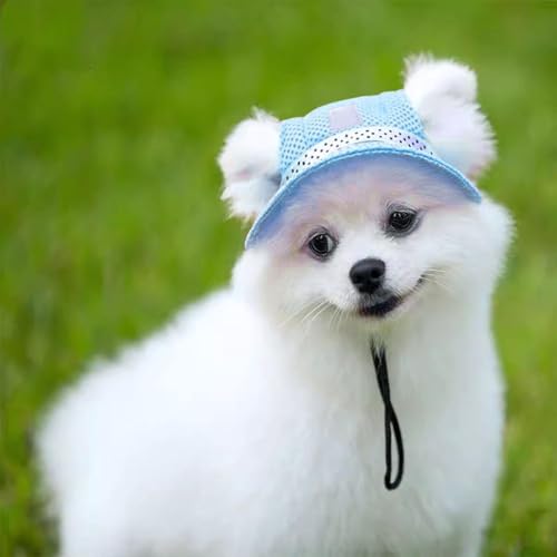 YSJCHEBS 1 Blauer Hundesonnenhut, Hundehut, Hut Für Hund, Hundesonnenschirm, Sonnenhut Für Hund, Haustierspielzeug, Hundehut Klein