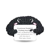 Handmade Collectible Hockey Puck - Emotional Support Decor,Tough & Supportive Gift for Hockey Players,Best Friend,Team Mate,Sports Room Decor Accent