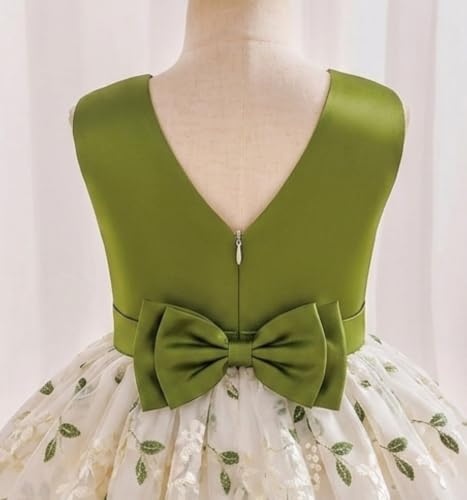Image of Tagas Girls' Princess Dress | Girl Dress |Dresses birthdaydress for Babygirls | A-Line Knee-Length Dress