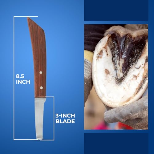 Image of Hoof Knife Double Edged Wide Straight Blade,Stainless Steel Curved Blade Farrier Tool with Wooden Handle (Left Hand)