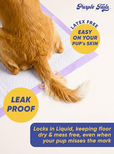 Image of Canada Pet Training Pads with Adhesive Tape - 8 Layers Super-Absorbent Pee Pads with Built in Pet Attractant for Dogs - Leakproof Pee Pads - Small, Medium Dog Pee Pads (10, 45x60 cm)