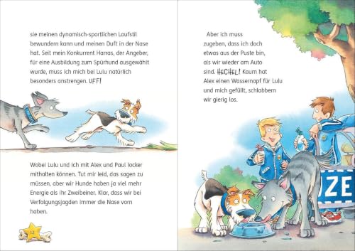 Bild 3