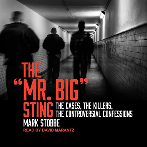 The &amp;quot;Mr. Big&amp;quot; Sting by Mark Stobbe episode artwork