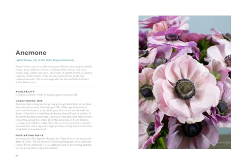 The Encyclopedia of Cut Flowers: What Flowers to Buy, When to Buy Them, and How to Keep Them Alive L