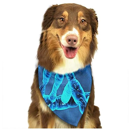 RAHJK Bandana para Perro, Pañuelos para Perro, Reversibles, Ajustables, Triangulares, Bufandas para Mascotas y Gatos ADN Genial