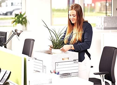 BANKERS BOX 10 Large System Storage Box with Lids - Cardboard Storage Box with Lids for Office Storage - Archive Boxes with Handles - W38 x H28.7 x D43cm (Pack of 10) - Grey