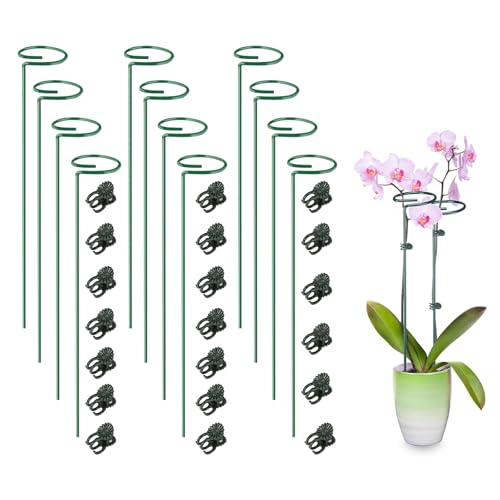 yowodana �x�� �T�|�[�g 12�Z�b�g�Ԃ����� �ϗt�A�� �K�[�f�j���O �x�� �A���T�|�[�g�����O ���|�p�i �_�Ɨp �ƒ�؉� �A�N�Z�T���[ �P�A�p�i (45cm*12)