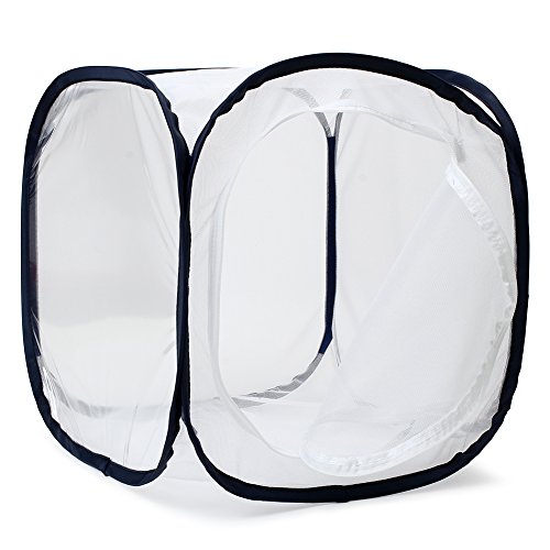 Image of Insect and Butterfly Habitat Cage Terrarium Pop-up 12 X 12 X 12 Inches (Pack of 2)