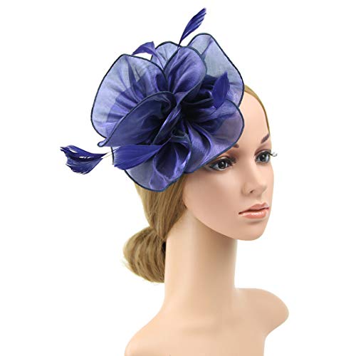 DRESHOW Fascinators Hat Tea Party Headwear Ribbons Feathers on a Headband and a Clip for Women