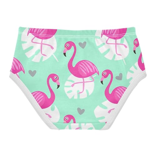 Toddler Underwear Custom 2t Cotton Panties for Girl Cartoon Kids Briefs Undies Pink Flamingos Mint Green2