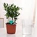 ORIMERC 30 feet 1/6 inch Self Watering Capillary Wick Cord Vacation Plant Sitter DIY Hydroponic Wicking Self-Watering Planter Pot Automatic Water System Device Potted Violet Auto Seedling Waterer Rope