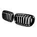 Anzio Kidney Gloss Black Dual Front Hood Grill for BMW 2015-2018 X5M F85 X6M F86 14-18 X5 F15 X6 F16