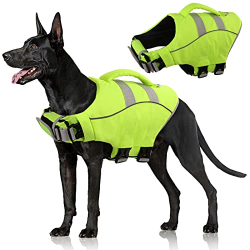 Best Life Jacket For Great Danes