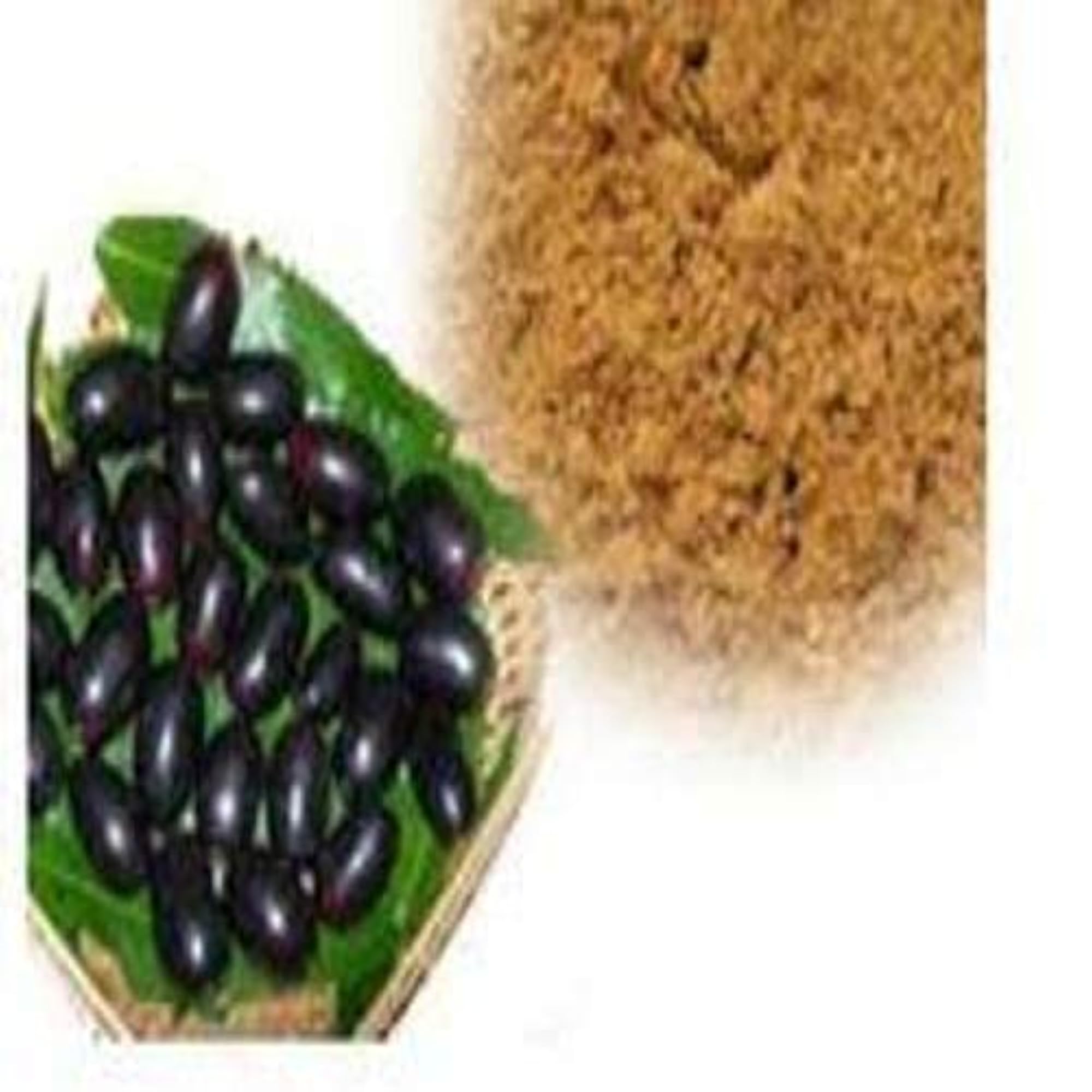 HARAYUG Jamun Seeds Powder, 200g, Natural Health Booster