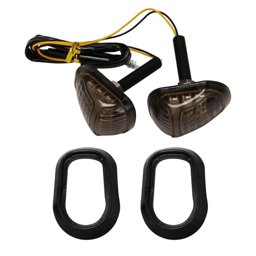 Clignotant LED moto 12V à forte luminosité MSX 125 - 2
