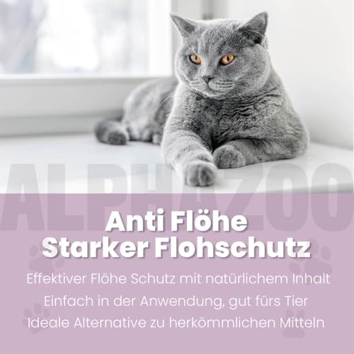 alphazoo Bye Bye Vloh Spot-On für Katzen 100ml – natürlicher Schutz gegen Flöhe mit Lavendel, Geraniol & Zitronen-Eukalyptus. Sanfte, alkoholfreie Pflege für Haut & Fell. Hautfreundlich & ohne Zusätze