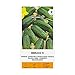 Produktbild Zalia stotele | EINLEGEGURKE BERLIOZ H samen| Gemüsesamen | Pflanze samen | Gurkensamen | Gardensamen | 1 Pack