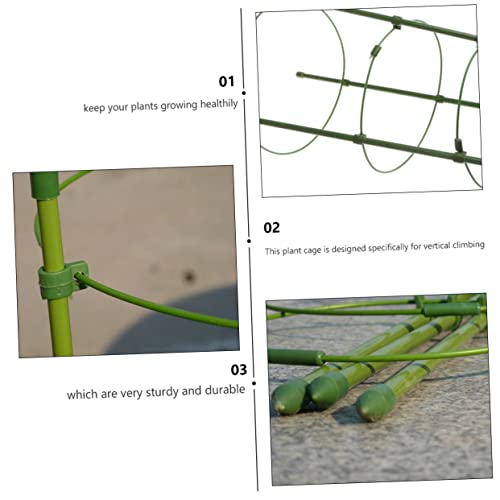 Cage de support pour plantes grimpantes HANABASS tuteur fer extérieur fleurs fruits - 8