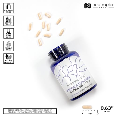 Nootropics Depot Polygala tenuifolia Capsules | 100mg | 90 Count | 20:1 Extract | Yuan Zhi | Promotes Cognitive Function, Learning and Memory | Supports Healthy Stress Levels | Adaptogen Supplement