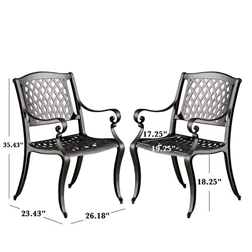 Christopher Knight Home Hallandale Outdoor Cast Aluminum Chairs, 2Pcs