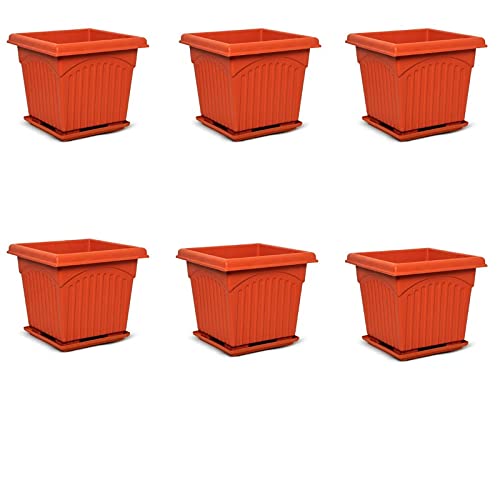Green Live 10 Inches Square Planter Pots with Tray Pack of 6 (Brown) (B097N88S5K) Amazon Price History, Amazon Price Tracker