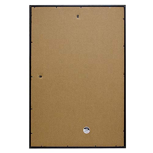 Frame Usa 27X39 Deluxe Polystyrene Plastic Poster Frames (Black) | Multiple Colors Available #TOP3