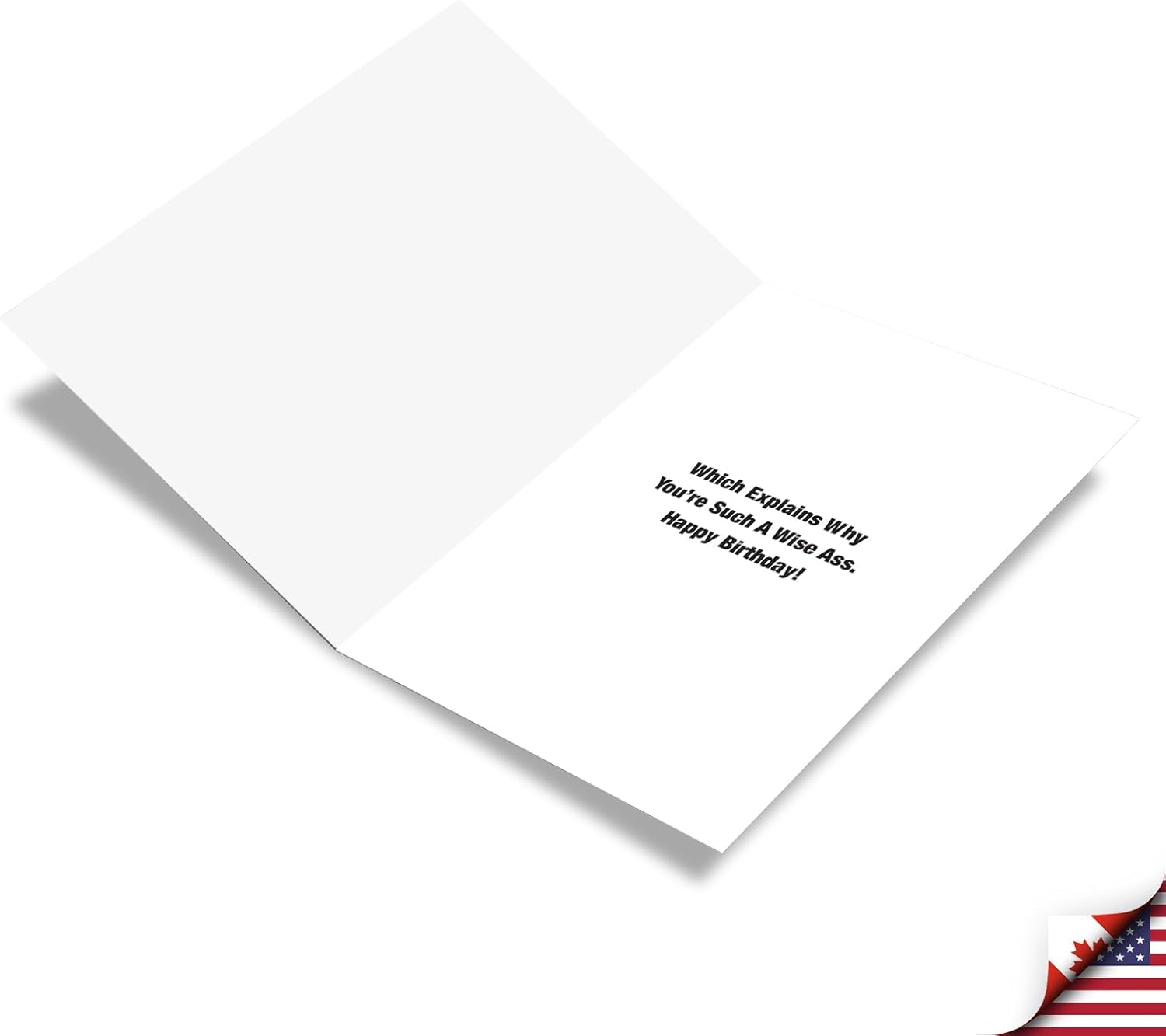 NobleWorks - Funny Birthday Greeting Card with 5 x 7 Inch Envelope (1 Card) Bday Woman Age Wisdom C8150BDG - Image 2