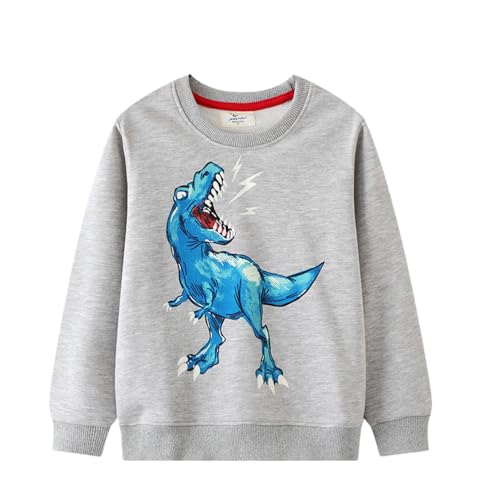 Irsutey Toddler Boys Cotton Sweatshirts Crewneck Dinosaur Pattern Long Sleeve Color Block Casual Trendy Pullover Tops 1-7Y