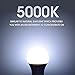 ENERGETIC SMARTER LIGHTING 150 Watt LED Light Bulb, Super Bright A21 Daylight 5000K, Non-Dimmable, 2300lm, High Lumen Light Bulbs, UL Listed, 2-Pack