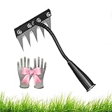 Iron Rake 2.0 for Gardening and Weeding, Gardenia Iron Weeding Rake, 5/6/7/8 Teeth Carbon Steel Garden Weeding Rakes, Gardening Hand Weeder Tools (5Teeth)