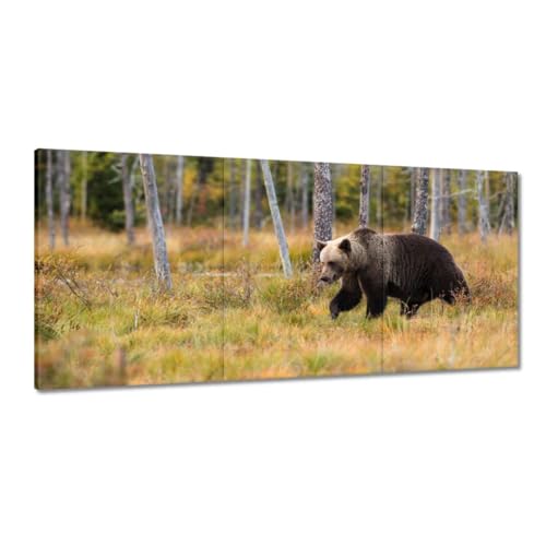 Toile imprimée Ours dans la forêt tableau grand format avec finitions soignées H6598M