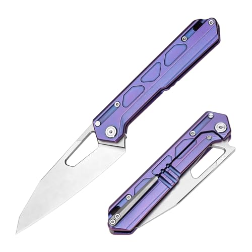 TACRAY Titanium Handle Frame Locking Knife, Folding Pocket Clip Knife, Portable Camping & Kitchen Knife with Sharp VG10 Stainless Steel Blade (Purple Blue Handle)