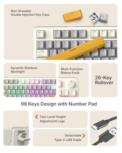 Image of RAEGR MechGear X100 Mechanical Gaming Keyboard, 98 Keys Compact Full Size, Rainbow Backlit, Hot-Swappable Switches, Multi-Function Volume Knob with Detachable Cable - RG10597 Retro White /Grey
