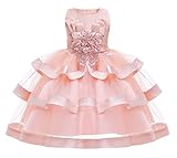 Toddler Baby Girl Dresses Elegan Sleeveless Lace Flower Puffy Dress Three Layer Ruffle Girls Pageant Wedding Bridesmaid Ball Dress Pink Size 2-3 Years