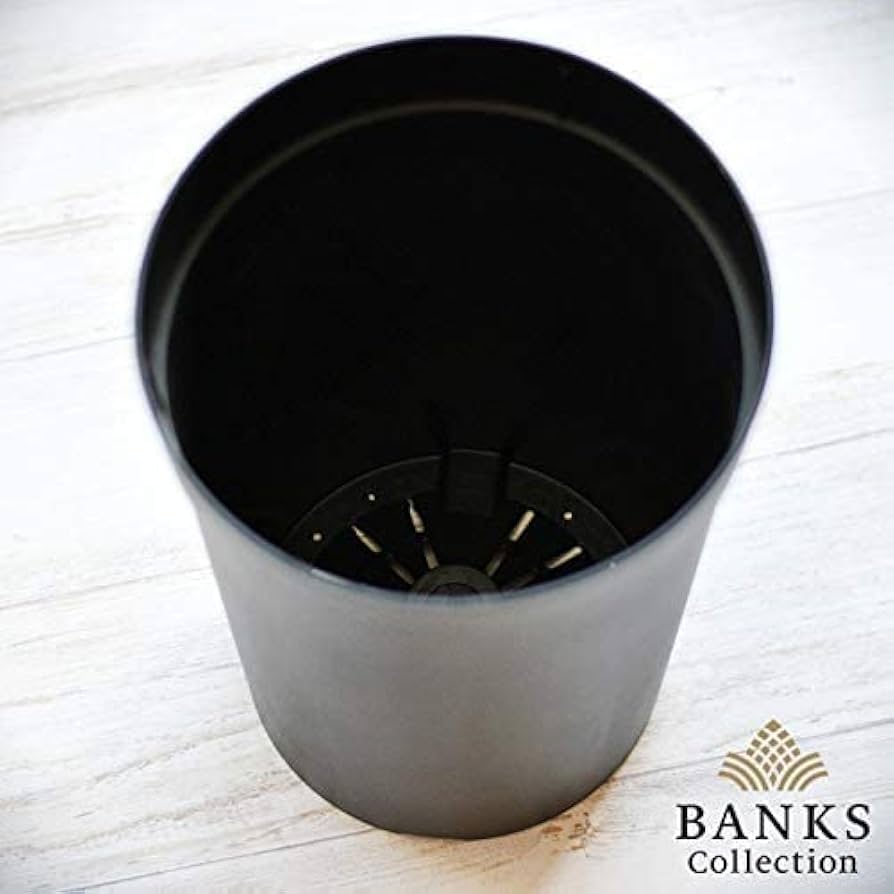 BANKS Collection 3点セット 415d7tQj5HL._UF894,1000_QL80_.jpg