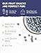 READYWISE - Simple Kitchen Freeze Dried Whole Blueberries, 28 Servings, Vegan, Gluten Free, Fruit Snacks, Emergency Supplies, Dehydrated Fruit, Blueberries