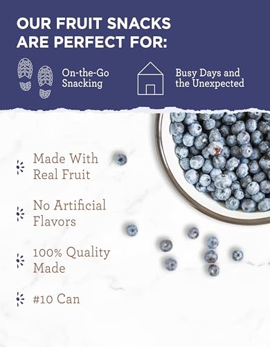 READYWISE-Simple-Kitchen-Freeze-Dried-Whole-Blueberries-28-Servings-Vegan-Gluten-Free-Fruit-Snacks-Emergency-Supplies-Dehydrated-Fruit-Blueberries