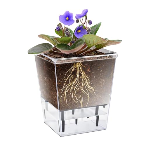 Pot De plant-e À Arrosage Automatique – Pot De fleu-r Transparent De 5,9 Pouces Avec Réservoir D'eau Et Niveau D'eau Visible, Vase Décoratif Pour La Maison Avec Trous De Ventilation Pour p-lantes