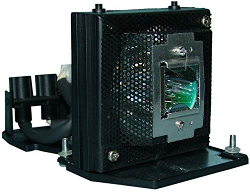 Ampoule SP.81R01G.001 lumineuse pour restaurer l'image OPTOMA