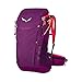 Produktbild Salewa Damen Alp Trainer 20 Ws ALP TRAINER 20 WS , Salewa Damen Alp Trainer 20 Ws ALP TRAINER 20 WS , OS, Dark Purple