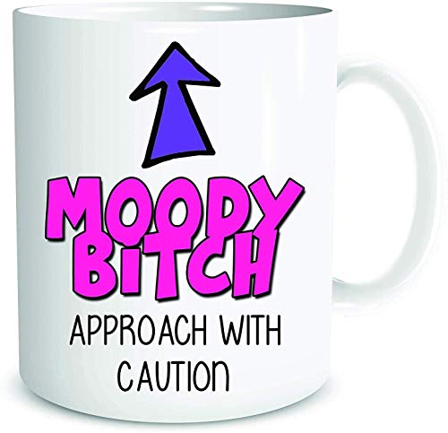 NA Funny Rude Mug Coffee Mugs Moody Bitch Girlfriend Wife Gift Birthday Present Work Office Secret Santa Joke Cup