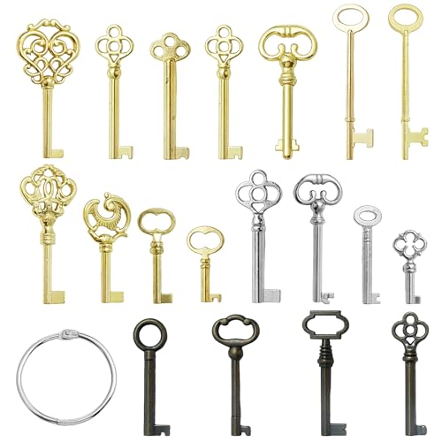 Universal Skeleton Key Set - 19PCS Hollow Barre Skeleton Keys