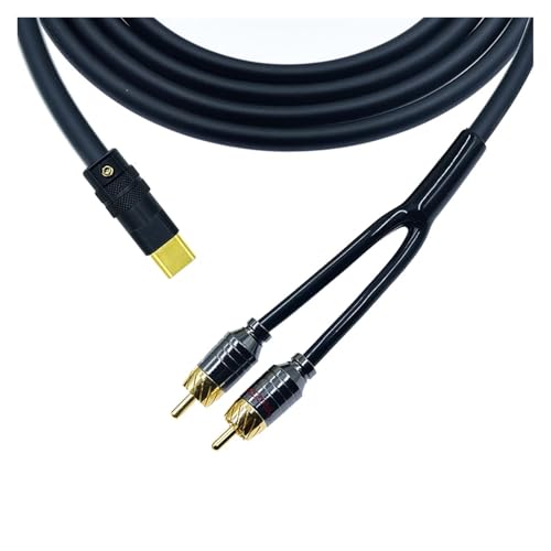 LINGQE USB C TY>pe C to 2 R/CA Cord High End PC Mobilephone Amplifier Interconnect to R/CA Cord for IPAD3 Air4(0.5m)